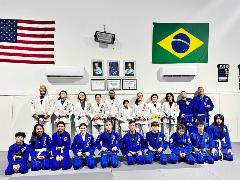 BJJ Fundamentals Class